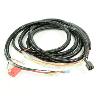 Honda EP-11639 Ignition Wire Harness, 12-Foot