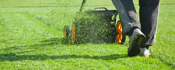 The Equipatron Edge | Summer Lawn Care Tips