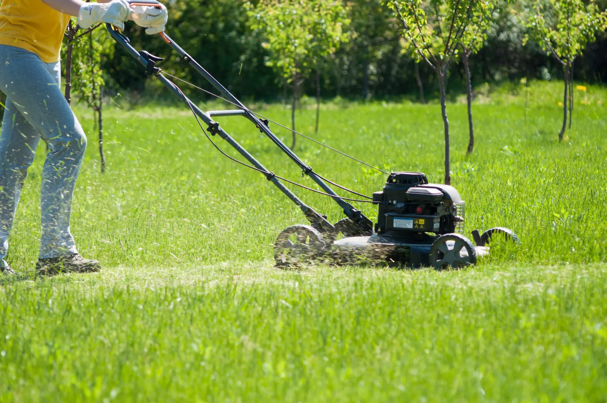 Walk-Behind Lawn Mower Engines