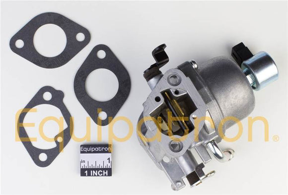 Briggs & Stratton 699807 Carburetor