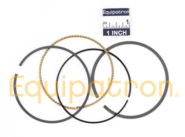 Briggs & Stratton 590402 Ring Set - 0