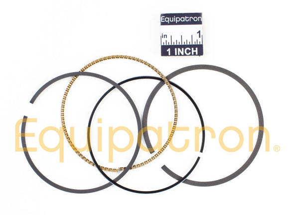 Briggs & Stratton 590402 Ring Set