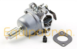 Briggs & Stratton 799727 Carburetor, Replaces 791886, 698620, 690194 - 0