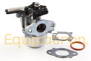 Briggs & Stratton 796608 Carburetor-2