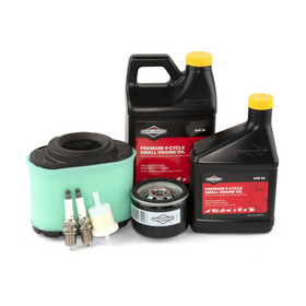 Briggs & Stratton 84002317 Kit, Maintenance