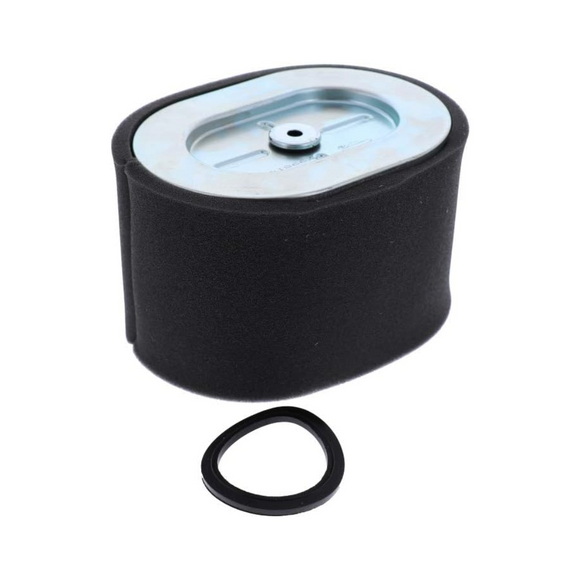 Briggs & Stratton 799818 Filter, Air Cleaner Ca