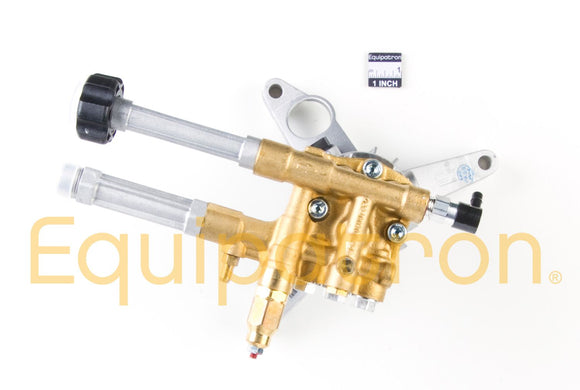 Briggs & Stratton 317055GS Pump