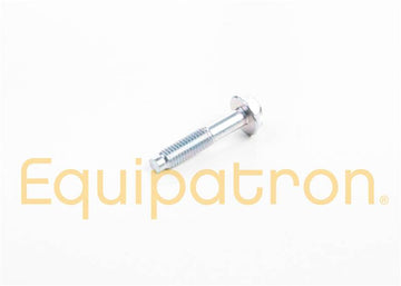 Briggs & Stratton 699208 Screw
