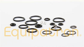 Briggs & Stratton 198847GS O-Ring Kit - 0