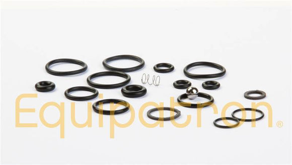 Briggs & Stratton 198847GS O-Ring Kit