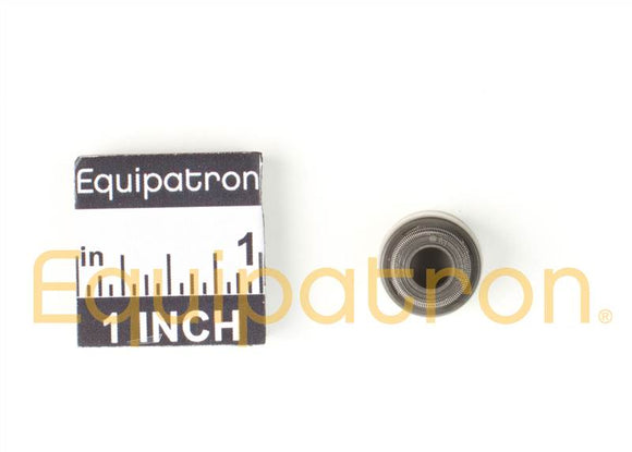 Briggs & Stratton 820041 Valve Seal
