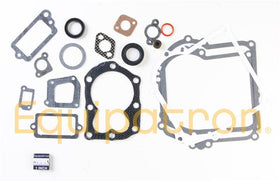 Briggs & Stratton 590777 Engine Gasket Set, Replaces 794209, 699933, 298989