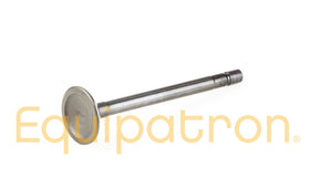 Briggs & Stratton 555552 Exhaust Valve