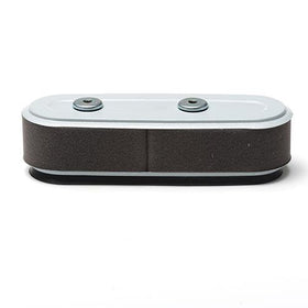 Oregon 30-187 Air Filter, Honda 17210-Z1V-003