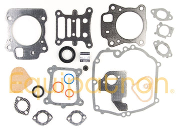 Briggs & Stratton 592173 Engine Gasket Set, Replaces 799495, 796661