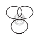 Briggs & Stratton 690014 Standard Piston Ring Set-1