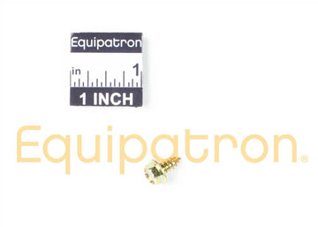 Briggs & Stratton 699203 Screw - 0