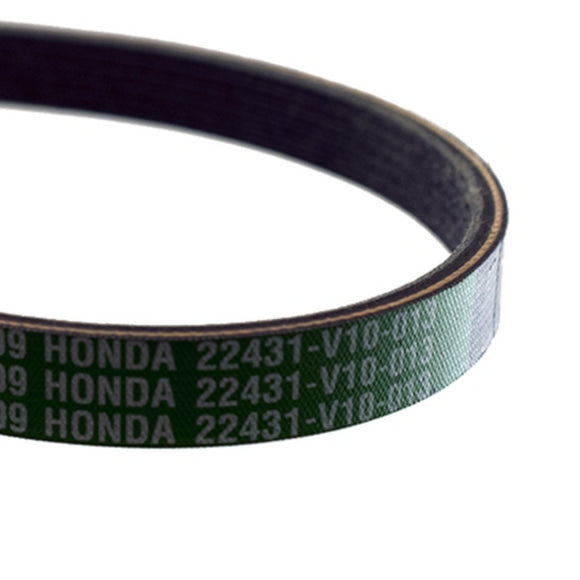 Honda 22431-V10-013 Ribbed V-Belt