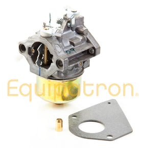 Briggs & Stratton 495784 Carburetor, Replaces 494881 - 0