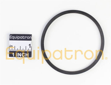Briggs & Stratton 796222 O-Ring Seal - 0