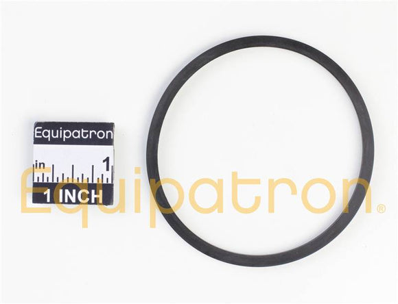 Briggs & Stratton 796222 O-Ring Seal