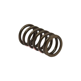 Briggs & Stratton 845589 Spring, Valve