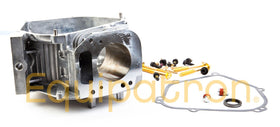Briggs & Stratton 555705 Cylinder Assembly