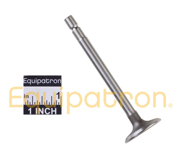 Briggs & Stratton 555551 Intake Valve - 0