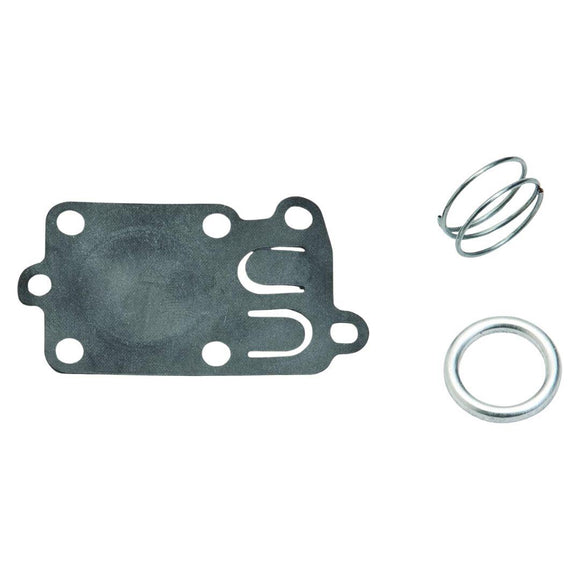 Oregon 49-037 Diaph Kit, Replaces Briggs