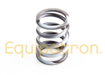 Briggs & Stratton 820406 Valve Spring, Replaces 820043