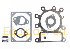 Briggs & Stratton 796189 Valve Gasket Set, Replaces 795807, 691581