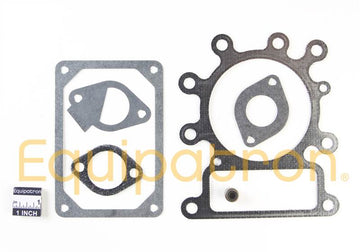 Briggs & Stratton 796189 Valve Gasket Set, Replaces 795807, 691581