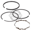 Briggs & Stratton 394959 Standard Piston Ring Set-1