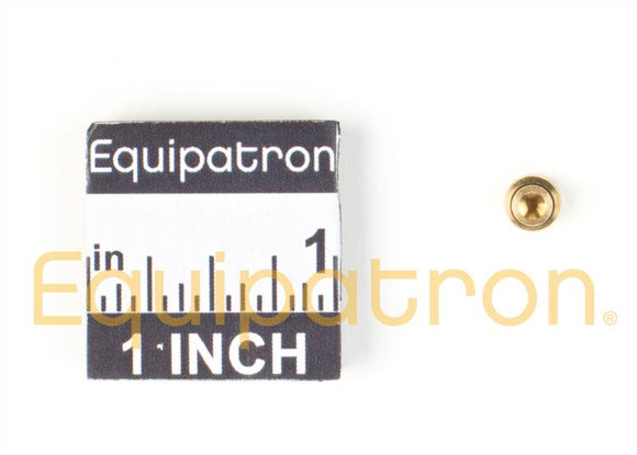 Briggs & Stratton 843099 Main Jet