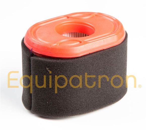 Briggs & Stratton 796970 Air Cleaner Cartridge Filter