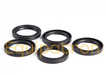 Briggs & Stratton 4115 Oil Seal Contains 5 x 291675S - 0