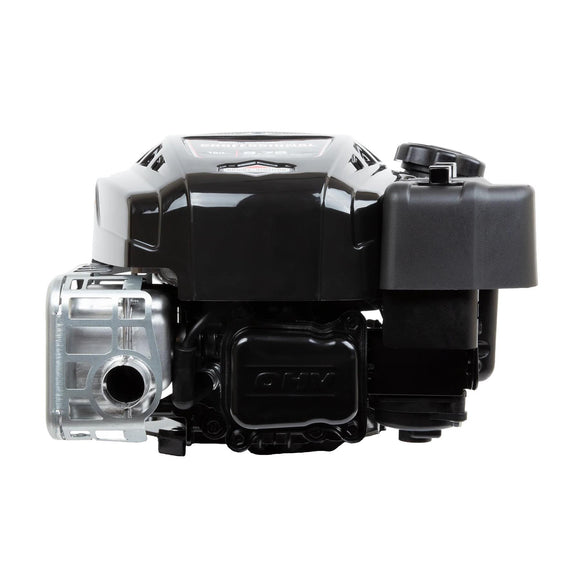 Briggs & Stratton 125P02-0086-F1 Engine