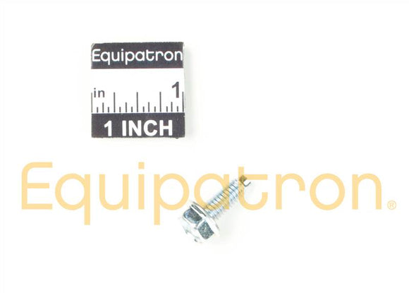Briggs & Stratton 699481 Screw, Replaces 699480