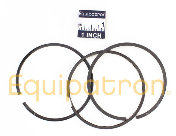 Briggs & Stratton 555665 Ring Set (.010)