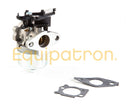 Briggs & Stratton 591852 Carburetor, Replaces 793493, 793463-1