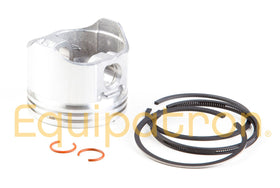 Briggs & Stratton 499960 Standard Piston Assembly, Replaces 499273, 393868