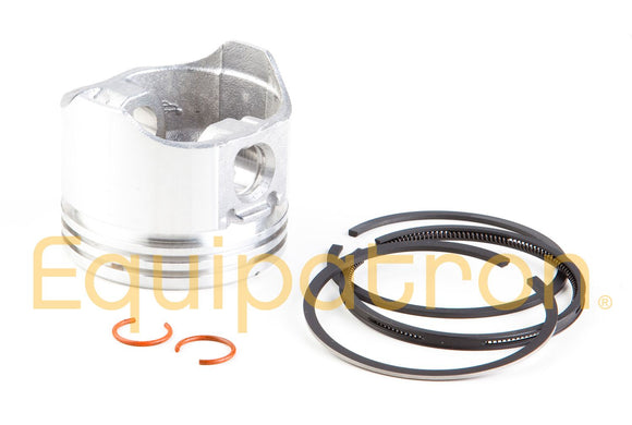 Briggs & Stratton 499960 Standard Piston Assembly, Replaces 499273, 393868