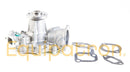 Briggs & Stratton 825265 Water Pump-1