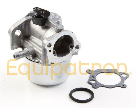 Briggs & Stratton 799868 Carburetor, Replaces 498254, 497347, 497314, 498170