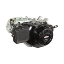 Briggs & Stratton 25T235-0111-G2 Horizontal Engine-6