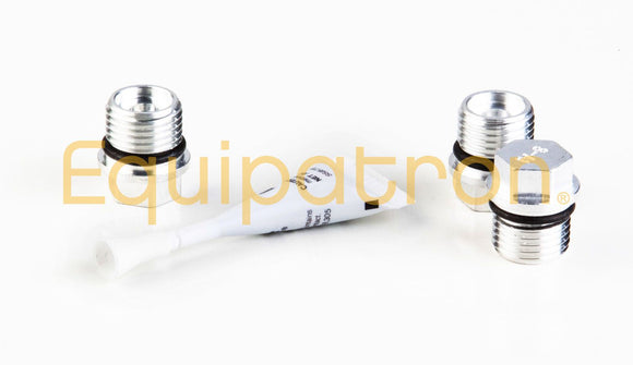 Briggs & Stratton 317056GS Plug Kit