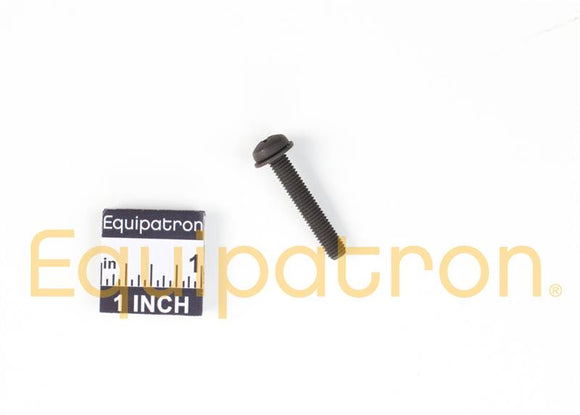 Briggs & Stratton 691647 Screw, Replaces 94417, 805447, 691647