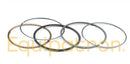 Briggs & Stratton 843953 Ring Set-1