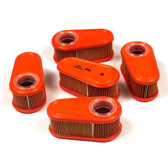 Briggs & Stratton 4240 Air Filter (5 of 795006)