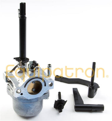 Briggs & Stratton 591378 Carburetor, Replaces 796321, 696132, 696133, 796322 - 0